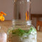 Vodní pickles z daikonu
